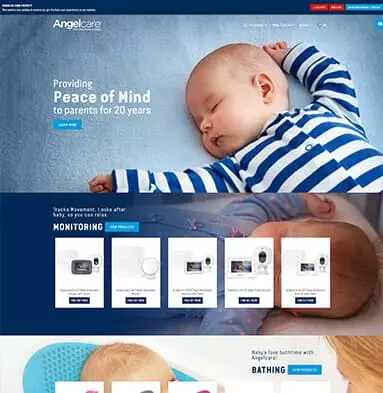 Web Development