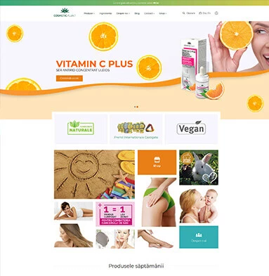 Web Development