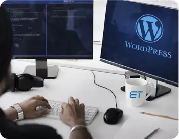 Hire WordPress Developers