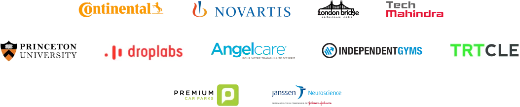 Companies Trusting Our IT Outsourcing Logo