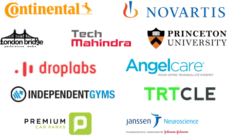 Companies Trusting Our IT Outsourcing Logo